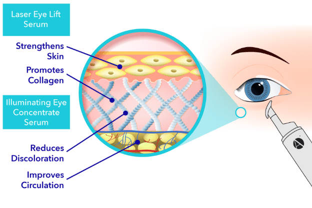 Scientific Study of the Skin