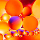 CoEnzyme Q10