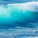Ocean Minerals