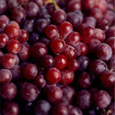 Red Wine Extract