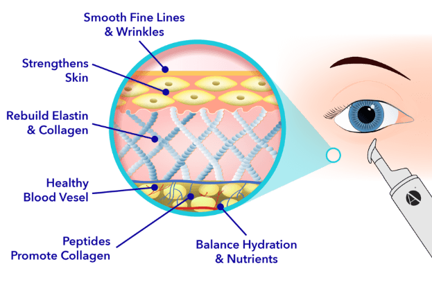 Competitors Scientific Study of the Skin