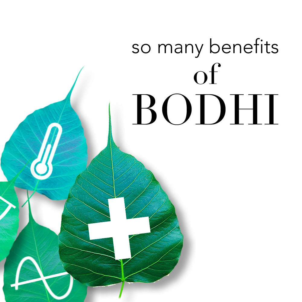 Benefits of Bodhi