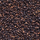 Black Pepper